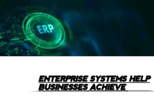 How Do Enterprise Systems Help Businesses Achieve Operational Excellence