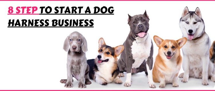 8 Step to Start A Dog Harness Business
