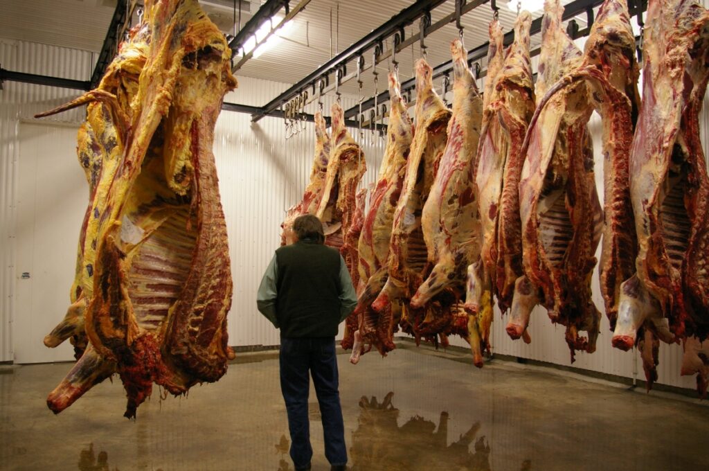 How Did the Slaughterhouse Cases Affect American Businesses