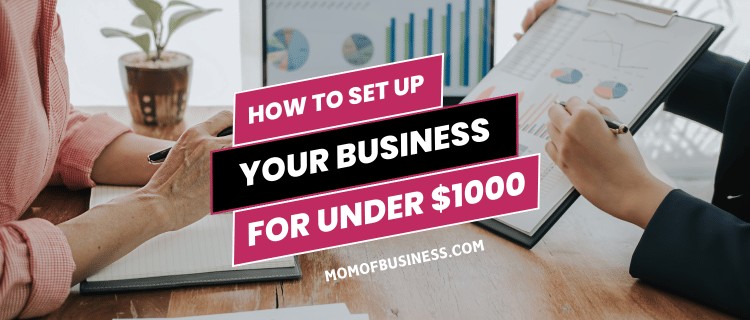 Set Up Your Business for under $1000