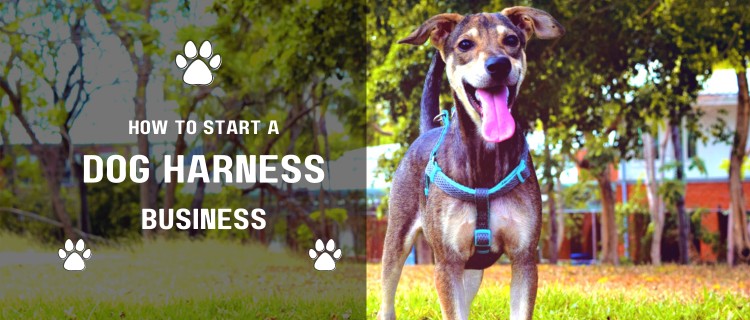 How to Start a Dog Harness Business